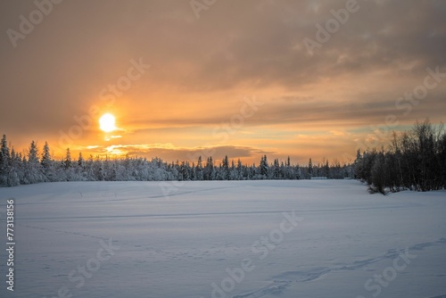 Scenic winter landscape featuring a vast, snow-blanketed field with trees at sunset © Wirestock