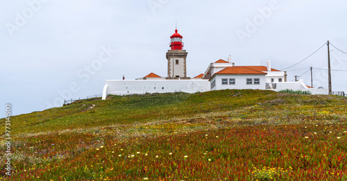 View of the Atlantic coast near the lighthouse in Cabo da Roca in Portugal. The westernmost point in Europe. Flowering spring coastal plants.