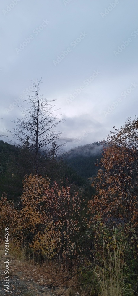 Fototapeta premium Foggy mountains in the distance, showcasing the beauty of nature