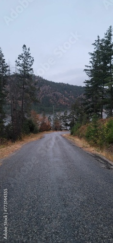 an empty road surrounded by wooded area with a body of water in the distance