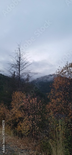 Foggy mountains in the distance, showcasing the beauty of nature