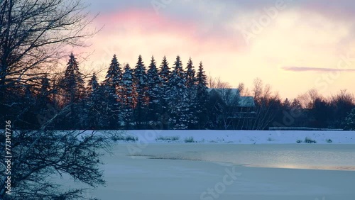 Winter pine trees landscape in silhoute during vivid sunrise snow covered trees photo