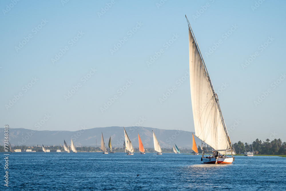 Fototapeta premium Felucca on the Nile, Beautiful Sunset on the Nile, Luxor, Egypt