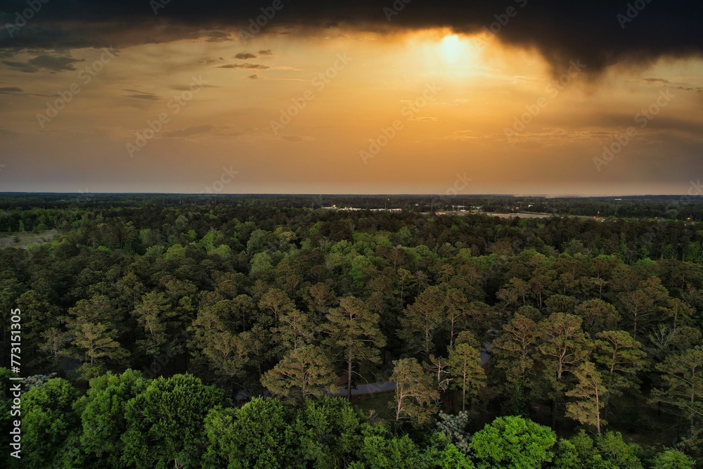 Tranquil aerial view of a scenic forest with a golden sunset illuminating the sky in Columbus, GA Tranquil aerial view of a scenic forest with a golden sunset illuminating the sky in Columbus, GA