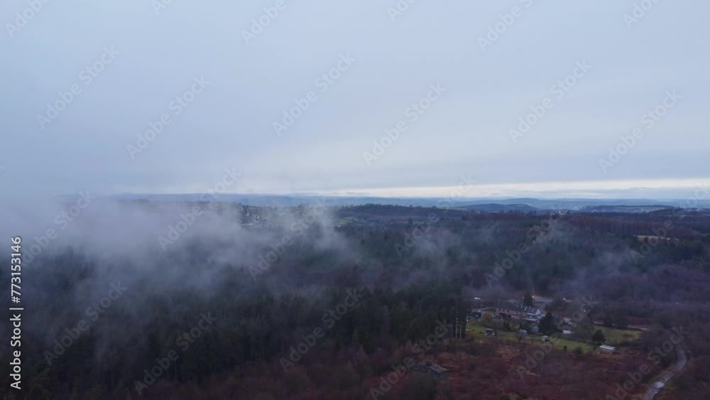 Misty forest descent with traffic Misty forest descent with traffic