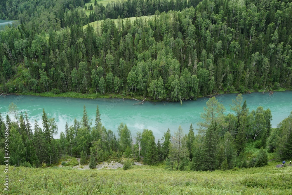 High-angle shot of the turquoise river surrounded by lush green vegetation. Northern Xinjiang.