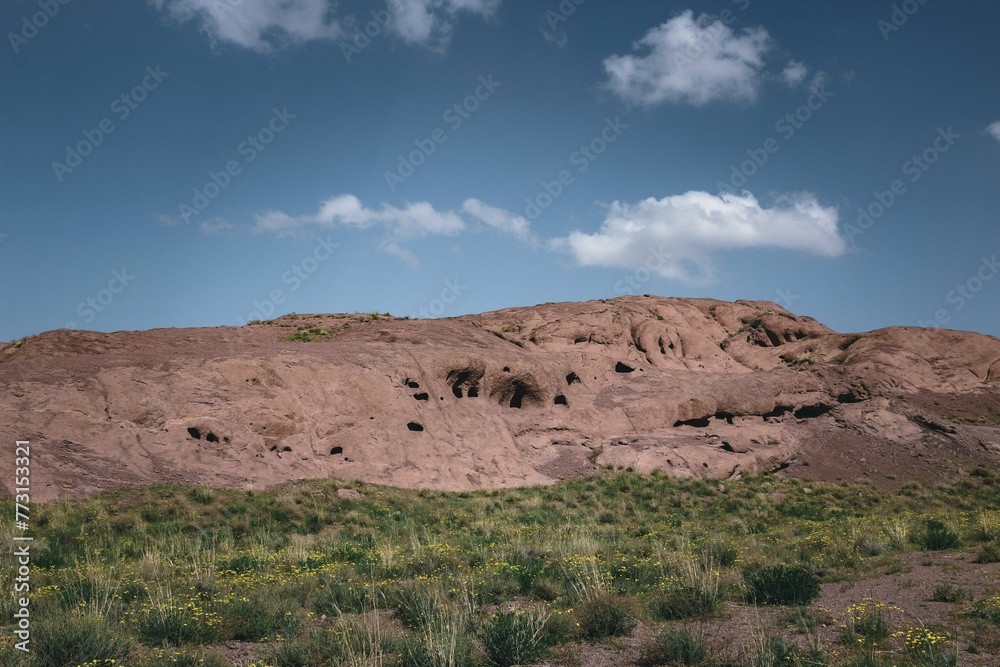 A photo of mountains, flowers, plants and sky clouds in nature