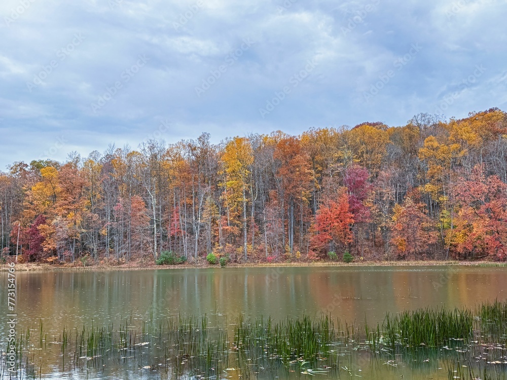Picturesque view of a tranquil lake surrounded by tall, vibrant trees. Coopers Rock Reservoir