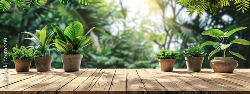 A wooden table with several potted plants on it © Toey Meaong