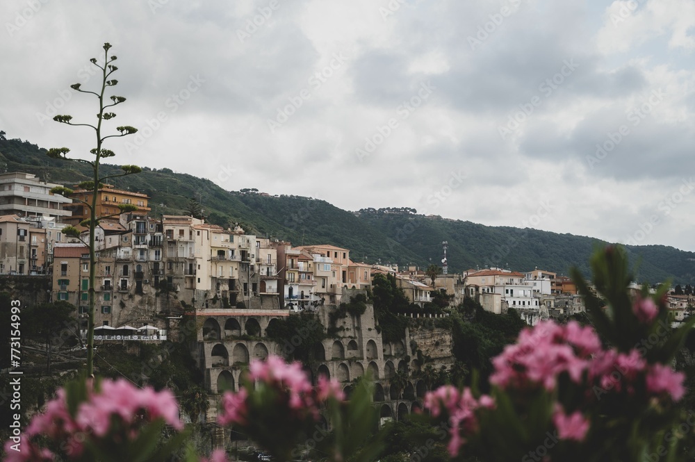 beautiful landscape of a village with houses and pink flowers in the foreground: Tropea, Calabria
