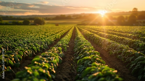 A bustling farm with farmers tending to crops and livestock