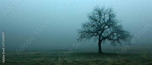  a wire fence