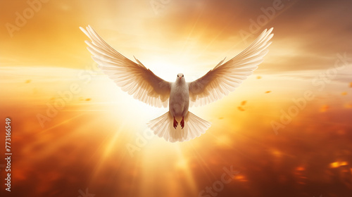 Doves fly in the sky. Christians have faith in Holy Spirit. Silhouette worship to god with love Faith, Spirit and jesus christ. Christian praying for peace. International peace day. © AK528
