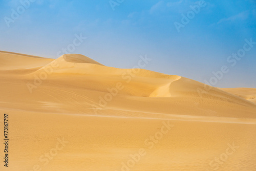 Desert sands and dunes  Siwa Oasis  Libyan Desert  Egypt