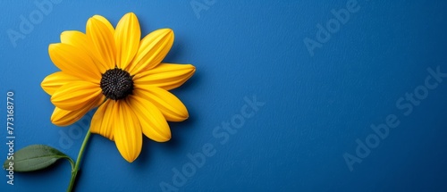  A yellow flower against a blue backdrop, featuring a green leaf at its tip and a verdant stem emerging from the bloom's base