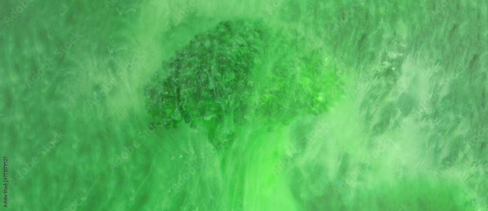 banner Fresh broccoli in cloud of green color paint in water. Artistic nutrition concept. Science of food action photography. Creative concept of vegetarianism, benefits of vegetables banner Fresh broccoli in cloud of green color paint in water. Artistic nutrition concept. Science of food action photography. Creative concept of vegetarianism, benefits of vegetables