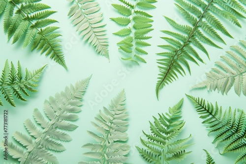 Circular arrangement of green fern leaves on light green background with copy space