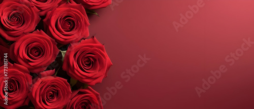 Red roses on dark red background. Valentine s day card design background with copy space