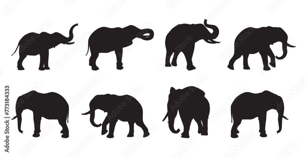 Elephant silhouette collection. set of silhouettes of animals Elephant silhouette collection. set of silhouettes of animals