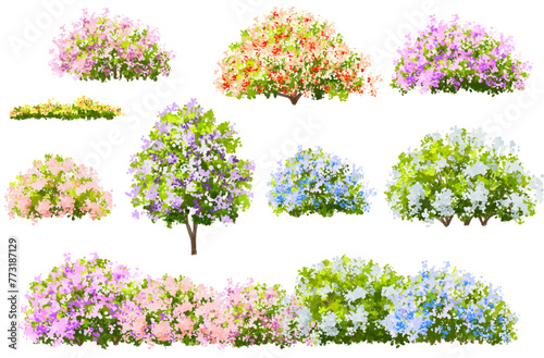 Vertor set of spring blossom tree,bloomimg plants side view for landscape elevation and section,eco environment concept design,watercolor sakura illustration,colorful season