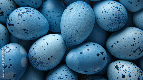 Zbliżenie na błękitne jajka ozdobnych ptaków