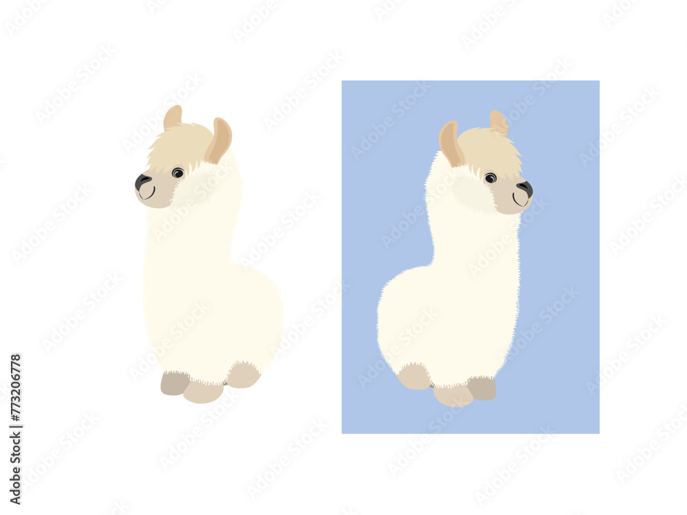 Obraz premium llama on a white background.