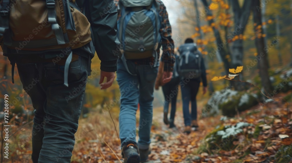 As friends hike together in the forest, they stand in a row
