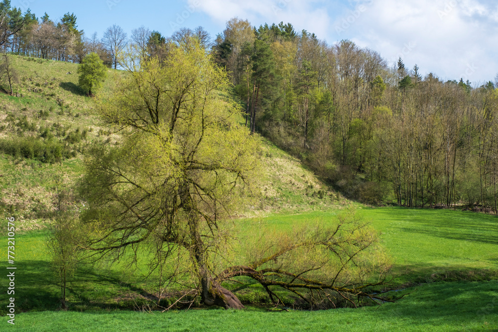 View of a small valley in Franconian Switzerland near Thuisbrunn/Germany on a sunny spring day View of a small valley in Franconian Switzerland near Thuisbrunn/Germany on a sunny spring day