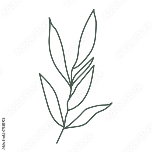 Vector illustration of hand drawn leaves. Cute doodle nature element. © pictures_for_you