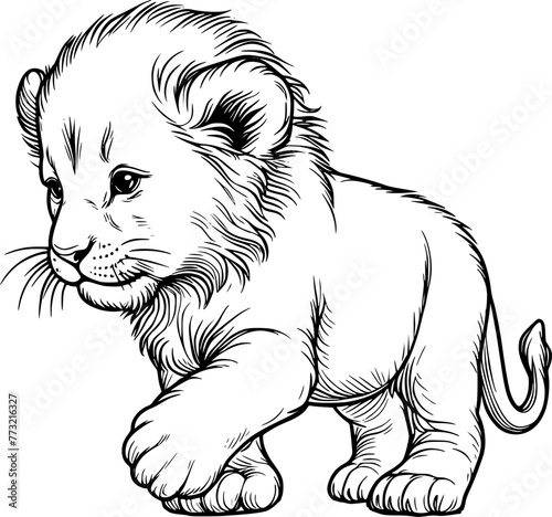 Illustration of a lion cub