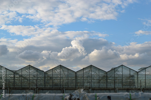 Triangular glass greenhouses and clouds in the evening sky