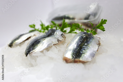 Raw sardine fillets on ice