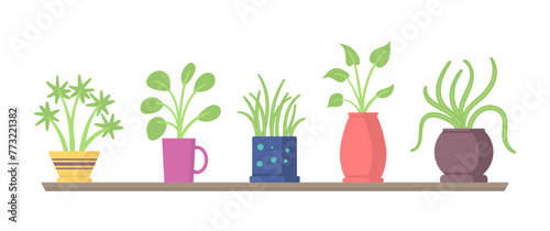Green hanging house plants set, elements for decoration home or office interior on a white background. Set of indoor plants on the shelves, stands, tables.