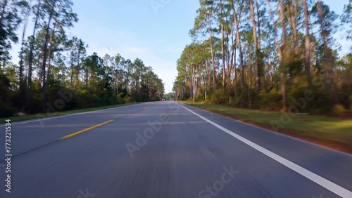 Forward driving plate on small highway bordered by pint trees