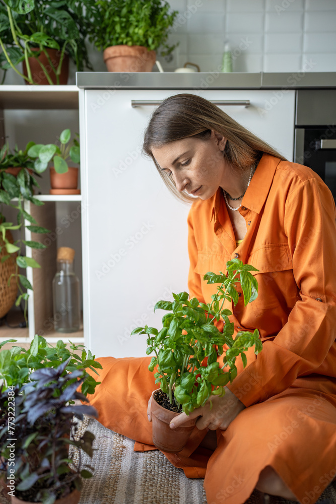 Focused interested woman holding pot of home-grown basil, tending to indoor plant seedlings. Calm relaxed female sitting on floor, taking care to home herbs garden on windowsill. Plant lover at home. Focused interested woman holding pot of home-grown basil, tending to indoor plant seedlings. Calm relaxed female sitting on floor, taking care to home herbs garden on windowsill. Plant lover at home.