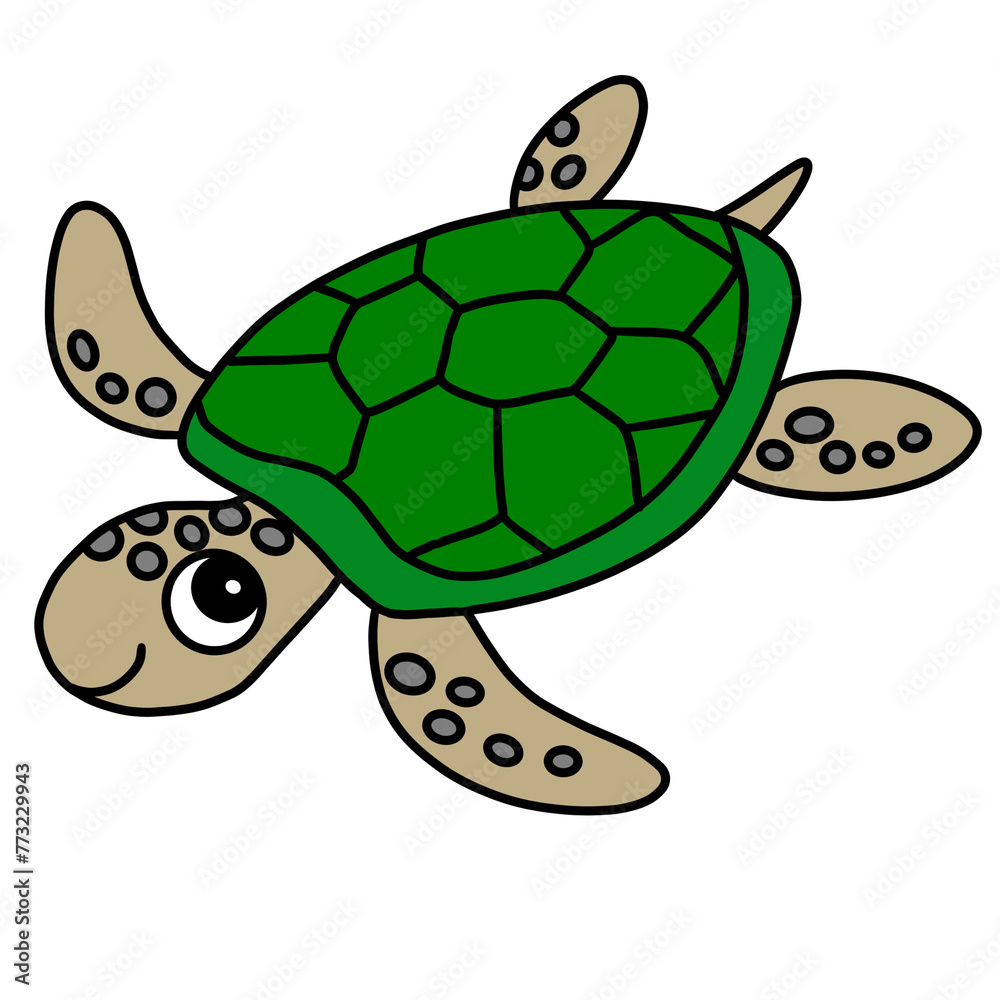 Obraz premium turtle
