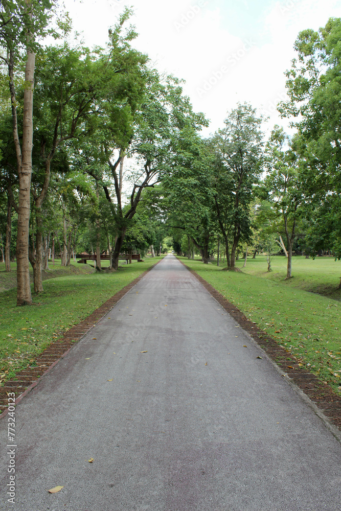 Straight road in Si Satchanalai Historical Park