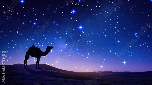Camel at night in desert with stars, ramadan concept © tydeline
