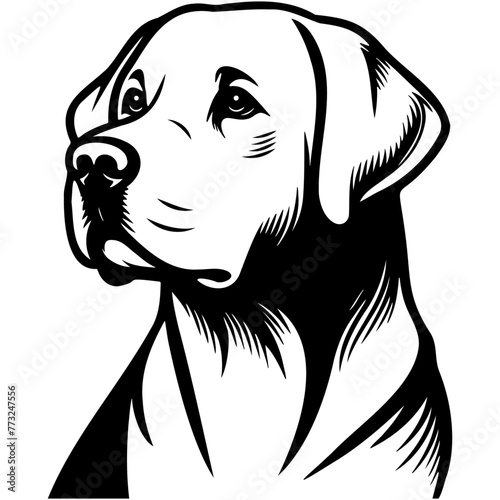 Labrador Retriever Dog Illustration.