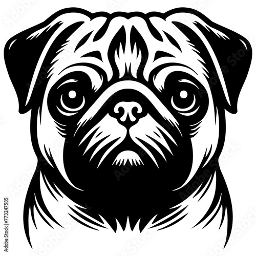 Pug Dog Illustration.
