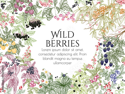 Vector frame of edible and poisonous wild berries. Cowberry, sea buckthorn, rose hips, ligustrum, hawthorn, elderberry, paris quadrifolia, blackberry, euonymus, belladonna, strawberry, blueberry