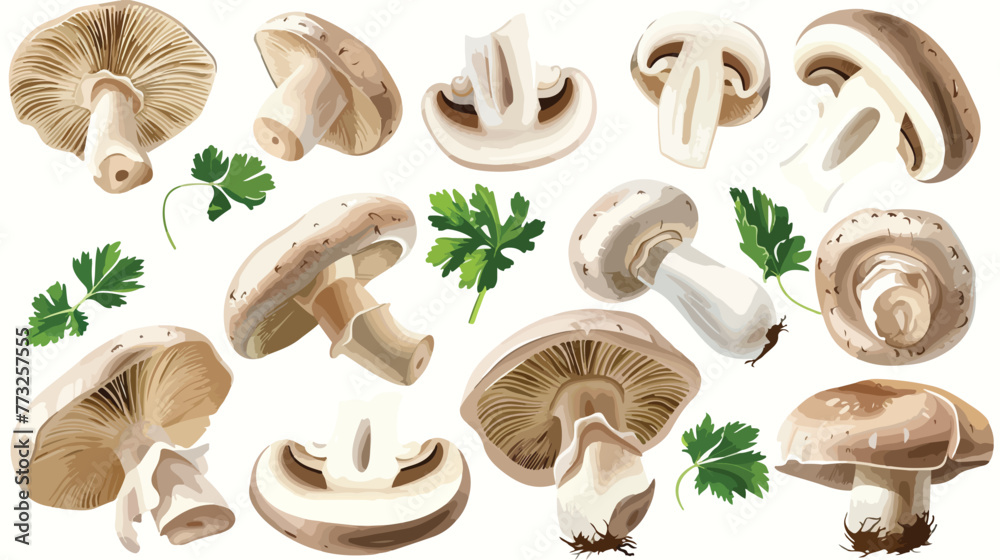 Fresh nutritious tasty mushrooms. Elements for pizza - obrazy, fototapety, plakaty 