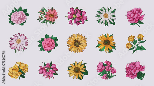 Floral Elegance: A Collection of Vibrant Stickers Illustrating Various Flower Species against a Minimalist White Backdrop