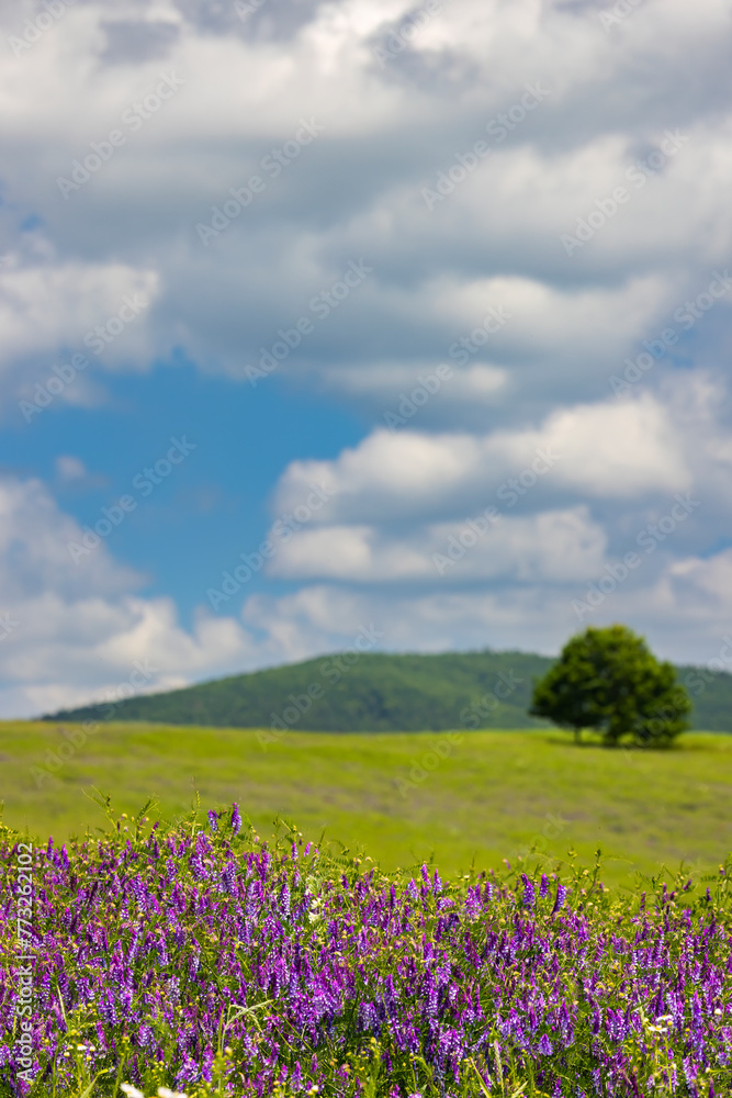Spring landscape in White Carpathians, Southern Moravia, Czech Republic