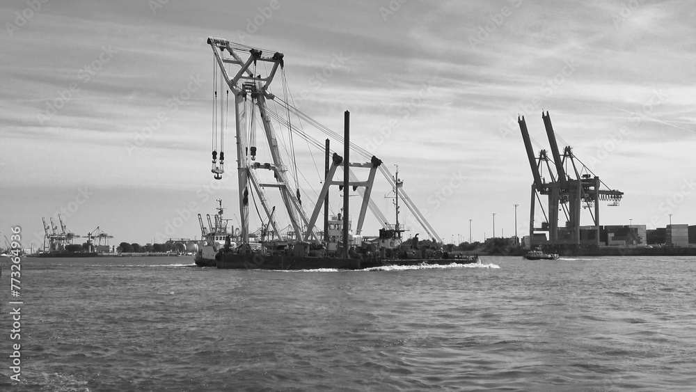 Obraz premium Crane in the harbor