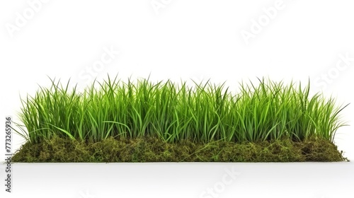 Green Grass Field Isolated on White Background