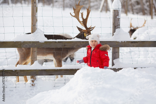 A little girl is standing by a deer in the contact zoo in winter. Red and black kid's outfit. Horizontal image.