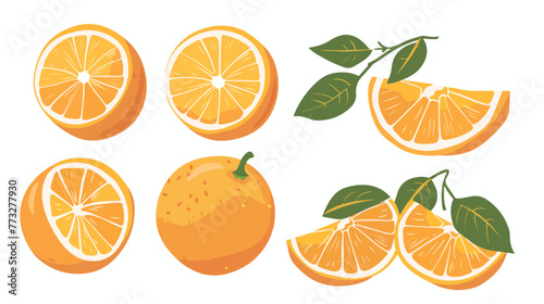 Vector orange fruit flat vector isolated on white background