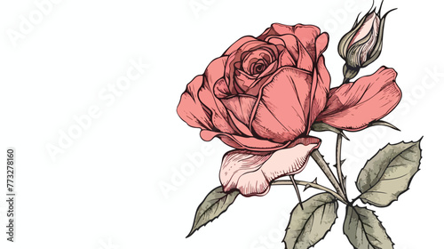 Vector rose flower. Element for design. Handdrawn co