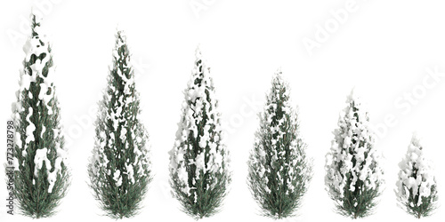 3d illustration of set Juniperus scopulorum snow covered tree isolated on transparent background
